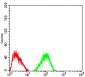 Mouse Monoclonal Antibody to TRAF2